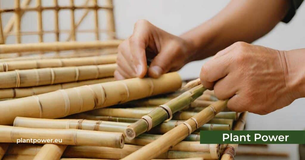 Bamboo Craftsmanship: The Ancient and Modern Mastery - PlantPower.eu