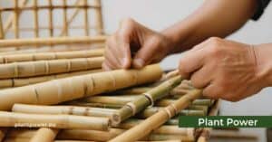bamboo craftsmanship the art and science