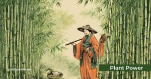 bamboo in folklore delving into ancient tales and traditions