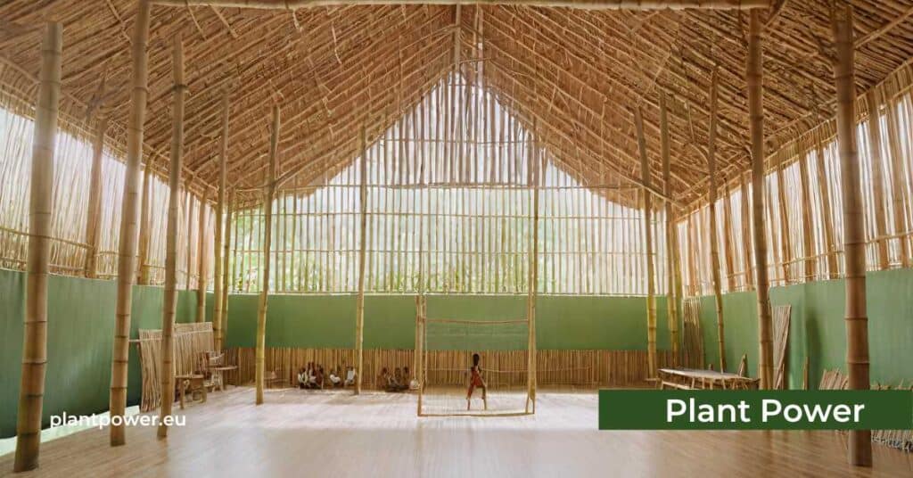 bamboo sports hall