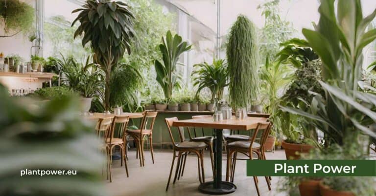 green ambiance choosing the best plants for your cafe